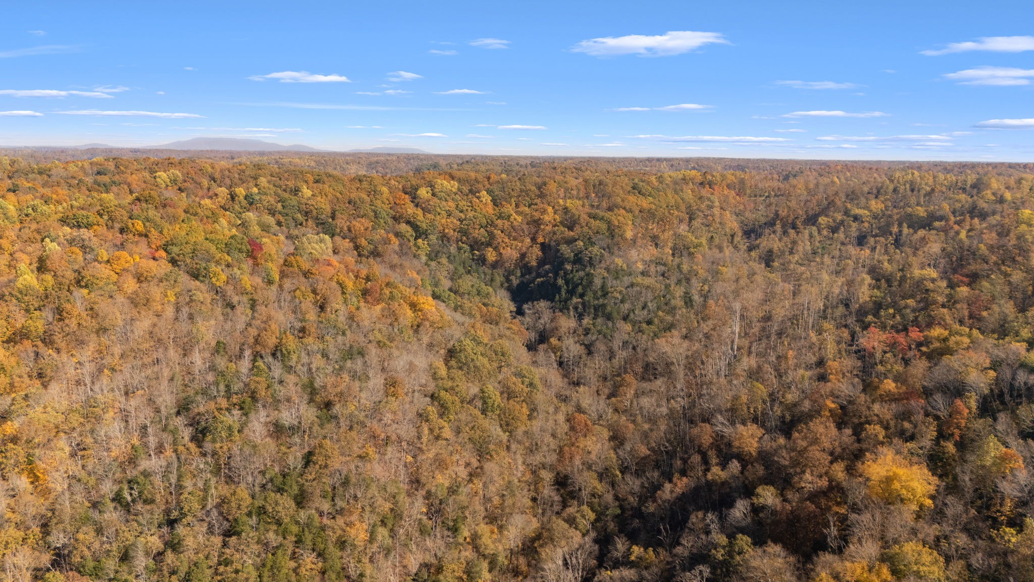 2 Burt Burgen Road Woodbury TN 37190