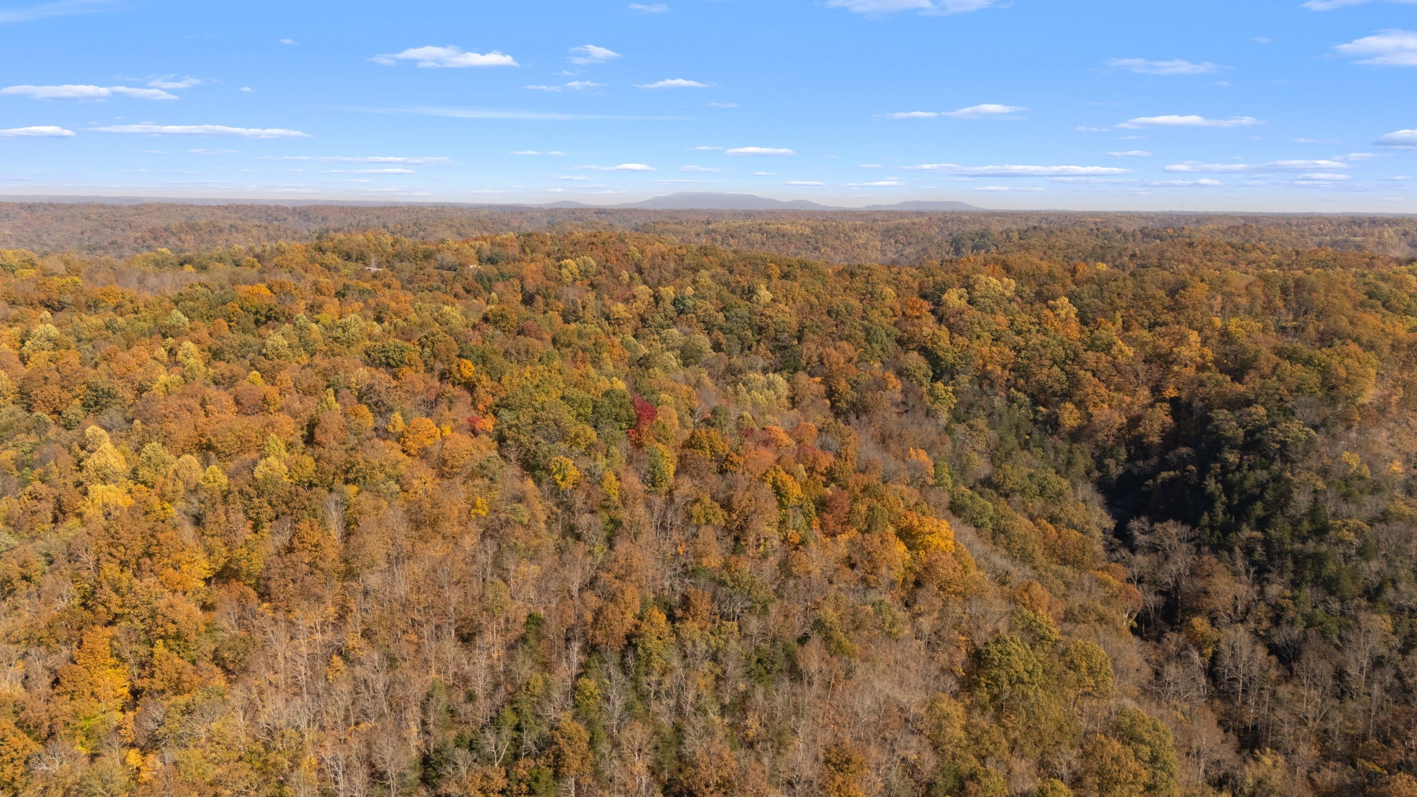 2 Burt Burgen Road Woodbury TN 37190