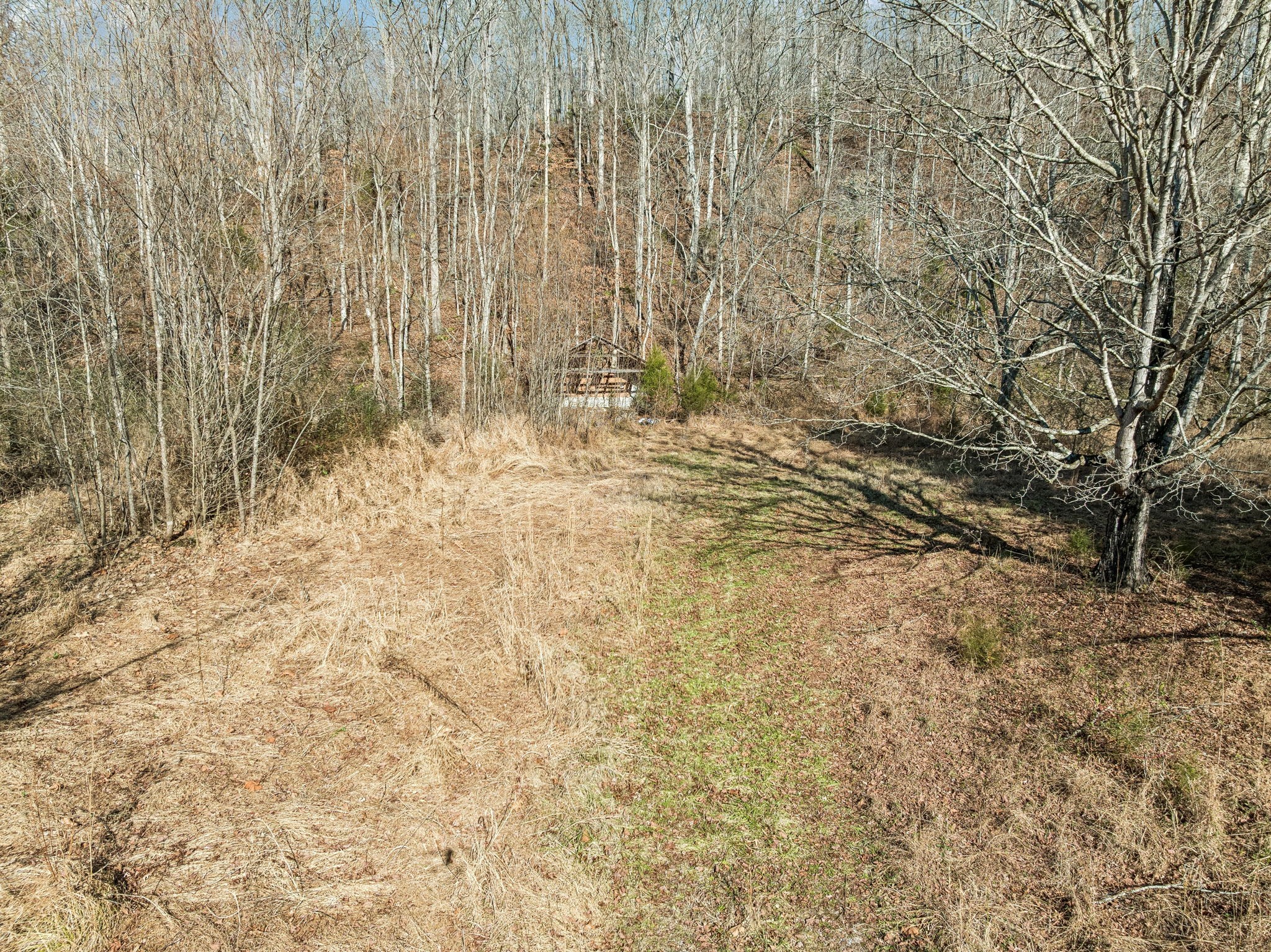 7212 Homeplace Lane Fairview TN 37062
