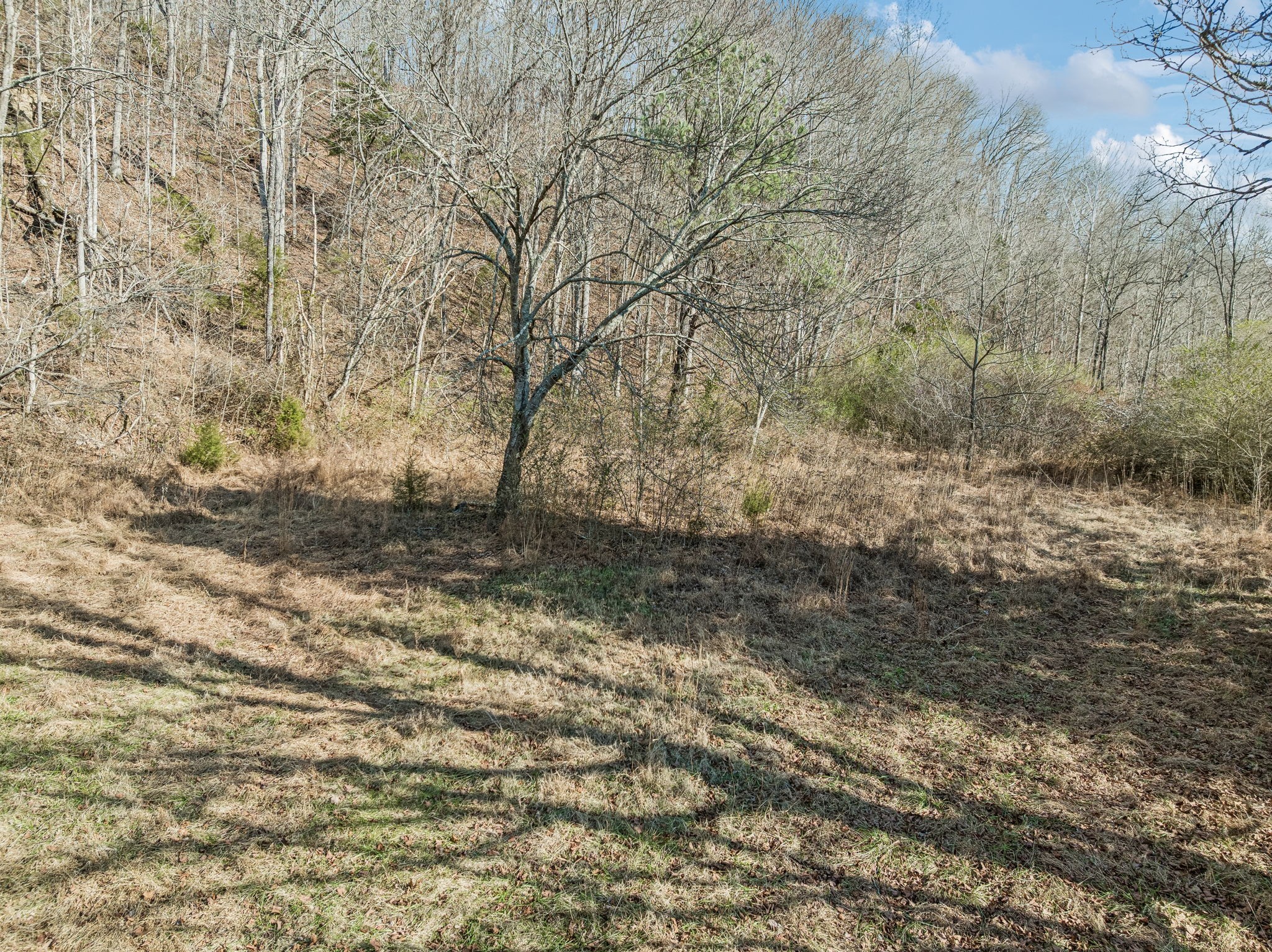 7212 Homeplace Lane Fairview TN 37062