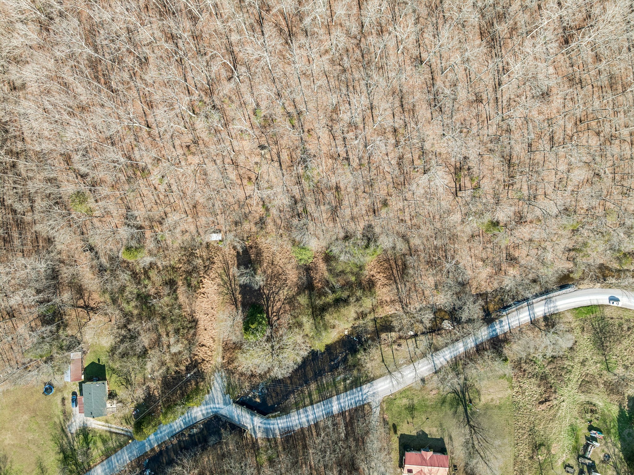 7212 Homeplace Lane Fairview TN 37062