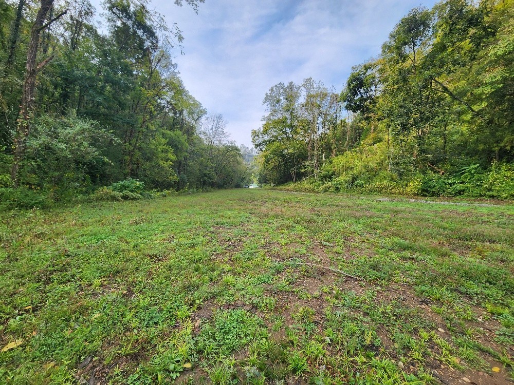 0 Webster Branch Lane Whitleyville TN 38588