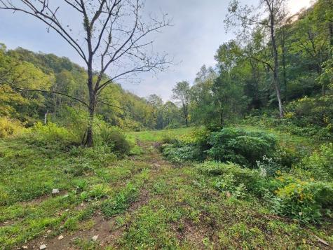 0 Webster Branch Lane Whitleyville TN 38588