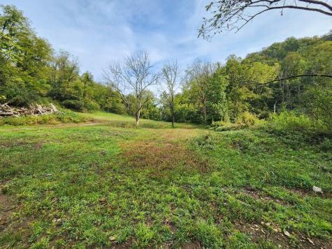 0 Webster Branch Lane Whitleyville TN 38588