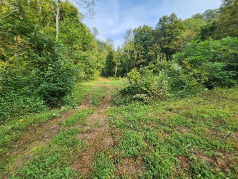 0 Webster Branch Lane Whitleyville TN 38588