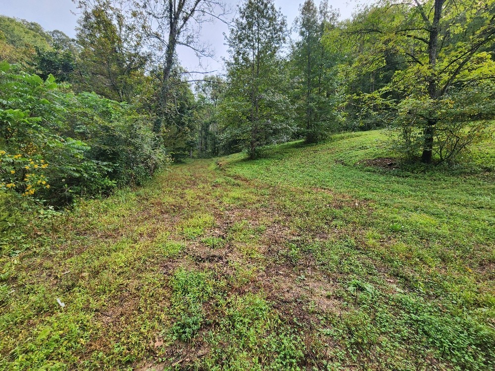 0 Webster Branch Lane Whitleyville TN 38588