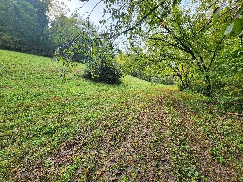 0 Webster Branch Lane Whitleyville TN 38588