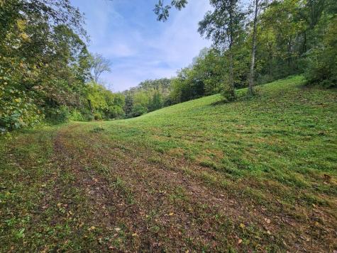 0 Webster Branch Lane Whitleyville TN 38588