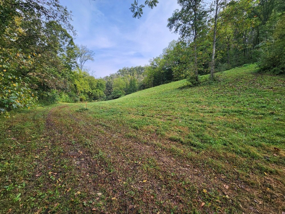 0 Webster Branch Lane Whitleyville TN 38588