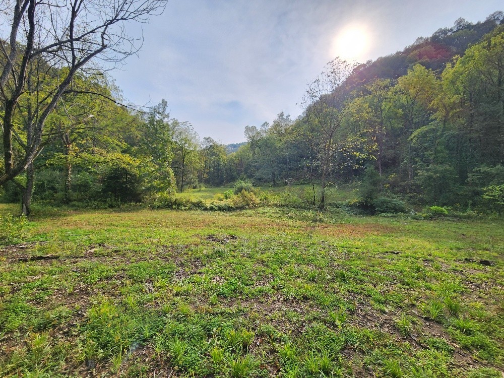 0 Webster Branch Lane Whitleyville TN 38588
