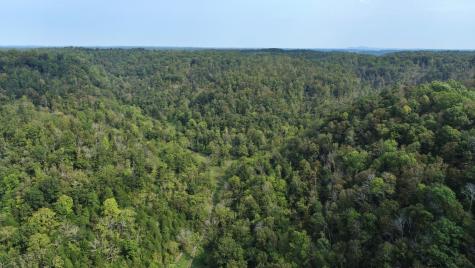 0 Webster Branch Lane Whitleyville TN 38588