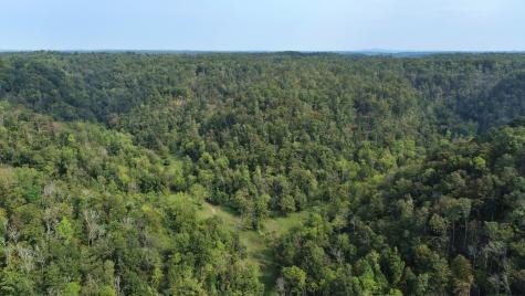 0 Webster Branch Lane Whitleyville TN 38588