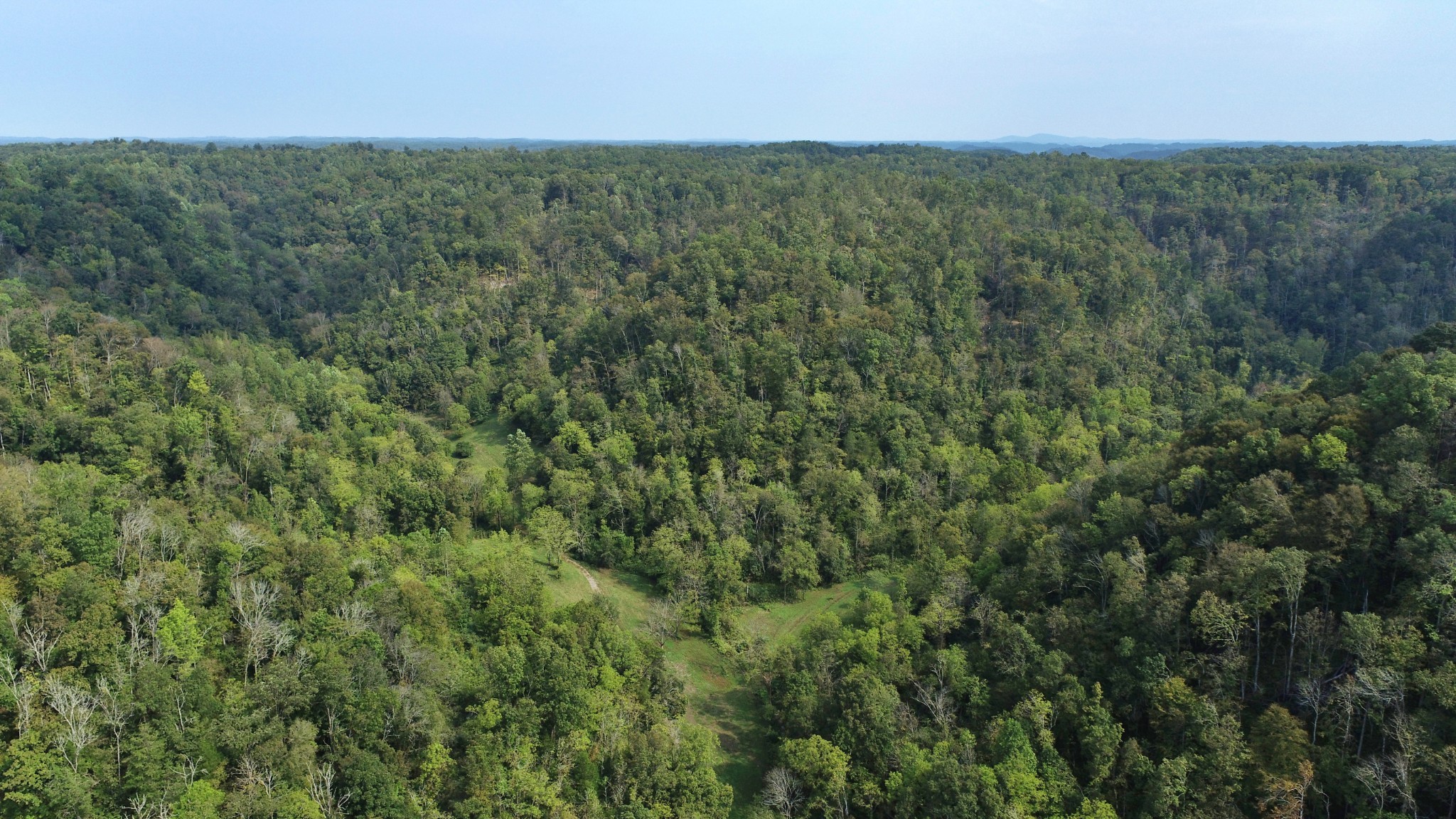 0 Webster Branch Lane Whitleyville TN 38588
