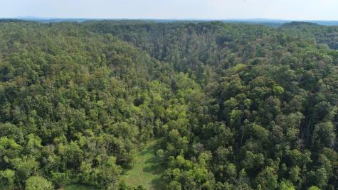 0 Webster Branch Lane Whitleyville TN 38588