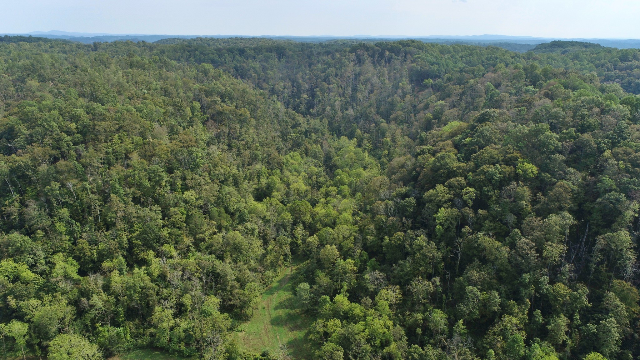 0 Webster Branch Lane Whitleyville TN 38588