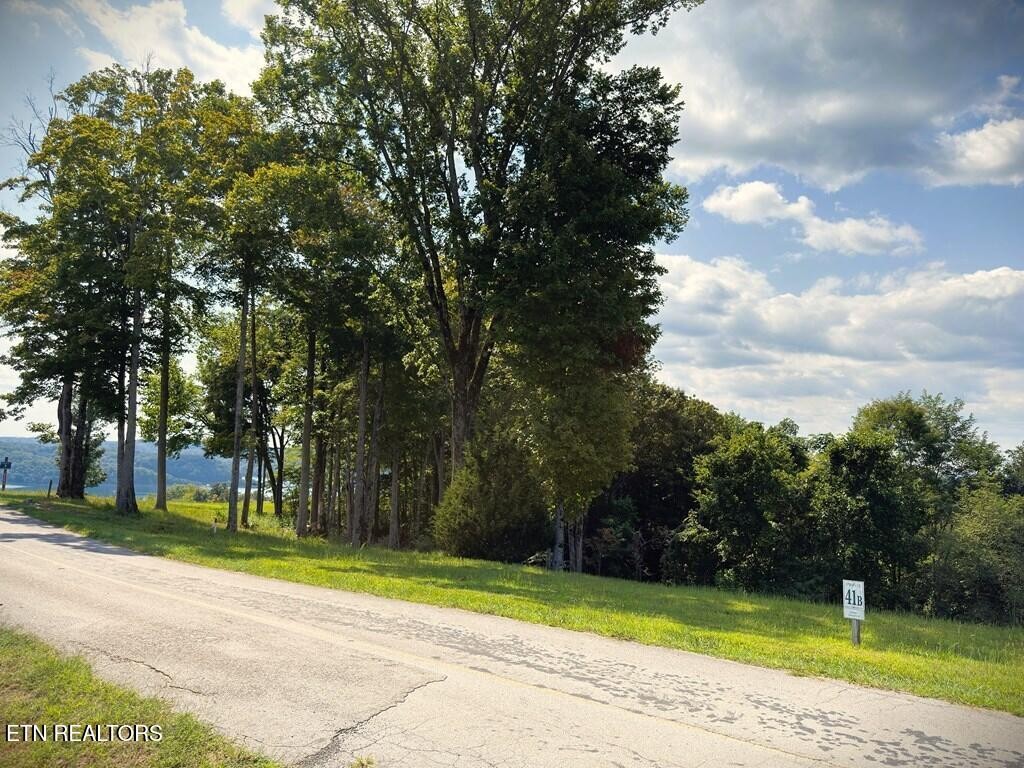 41 Bald Eagle Road Hilham TN 38568