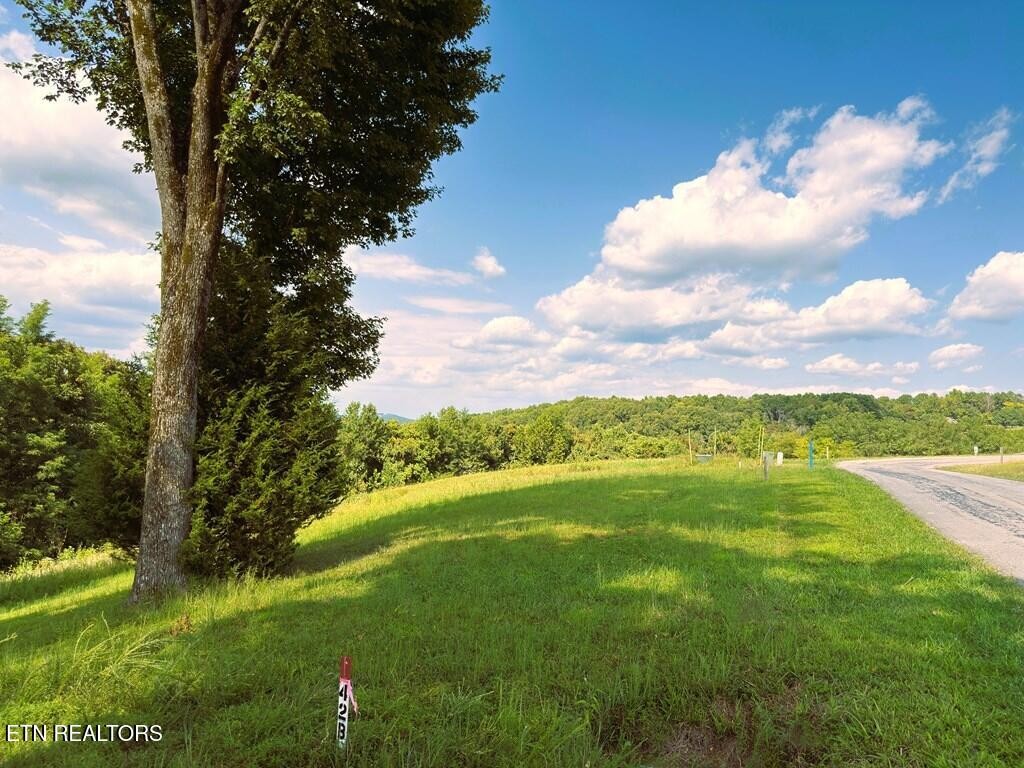 41 Bald Eagle Road Hilham TN 38568