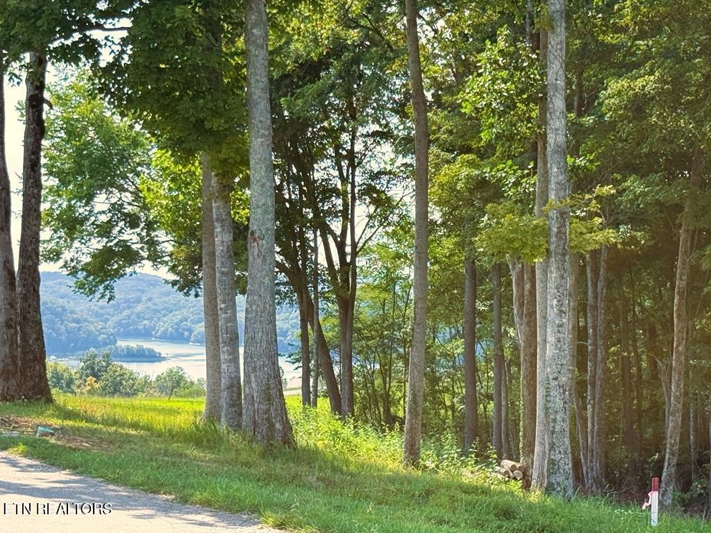 41 Bald Eagle Road Hilham TN 38568