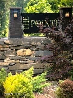 41 Bald Eagle Road Hilham TN 38568