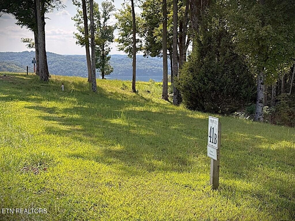 41 Bald Eagle Road Hilham TN 38568