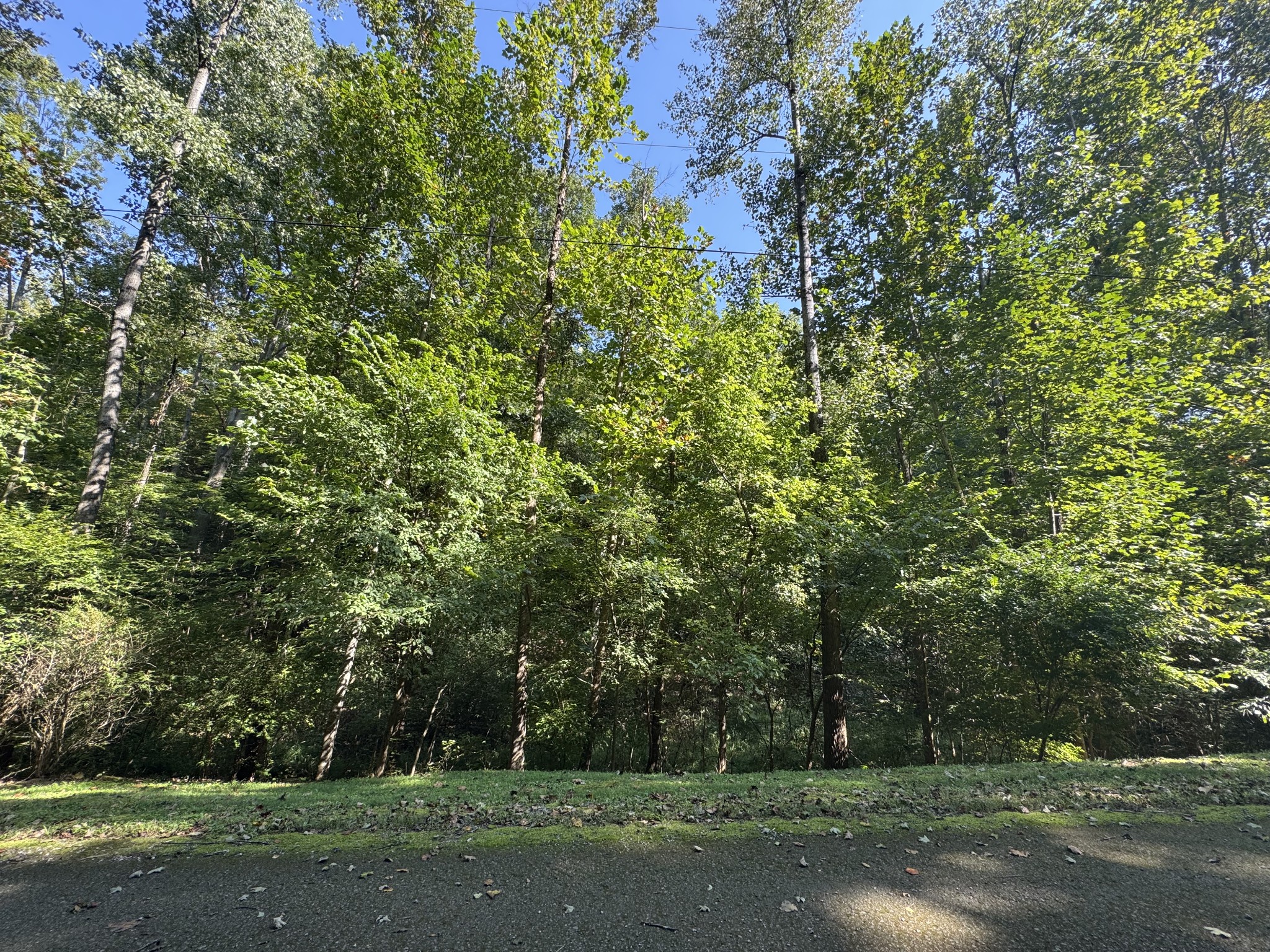 7610 Chipmunk Lane Nashville TN 37221