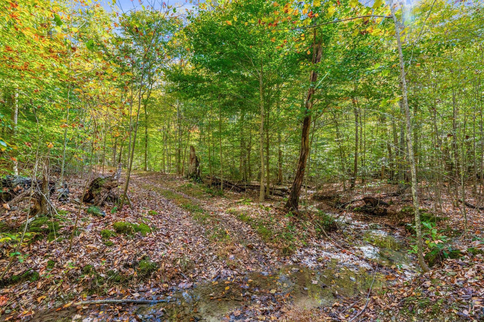 5284 Poor House Hollow Road Franklin TN 37064