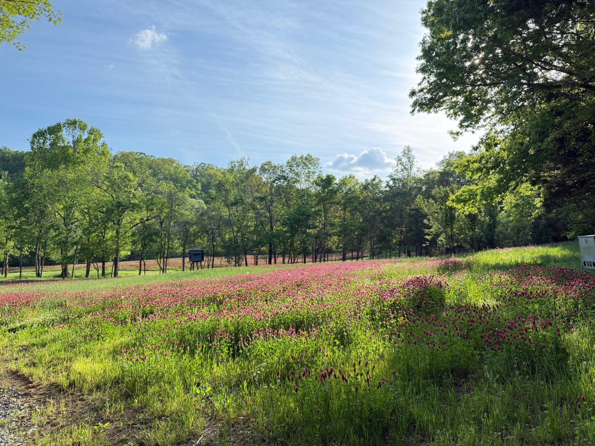 5284 Poor House Hollow Road Franklin TN 37064
