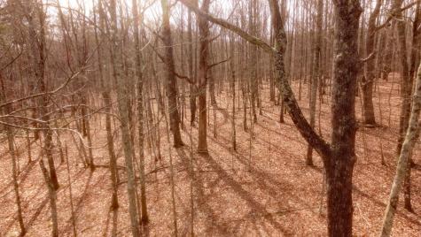 0 Ravens Den Road Sewanee TN 37375