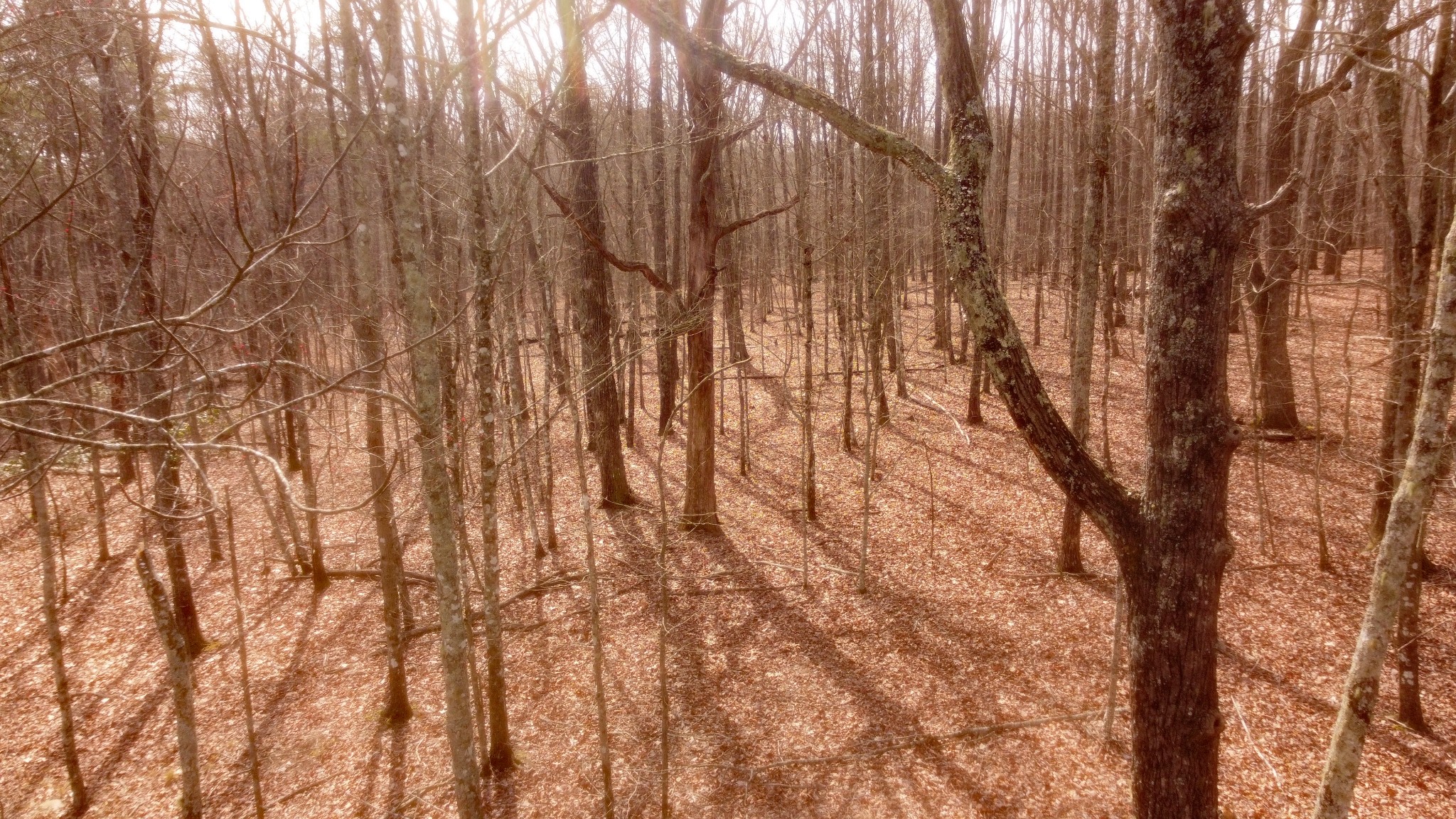 0 Ravens Den Road Sewanee TN 37375