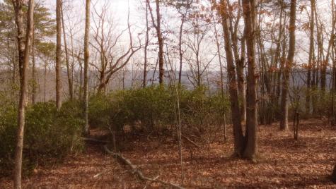0 Ravens Den Road Sewanee TN 37375