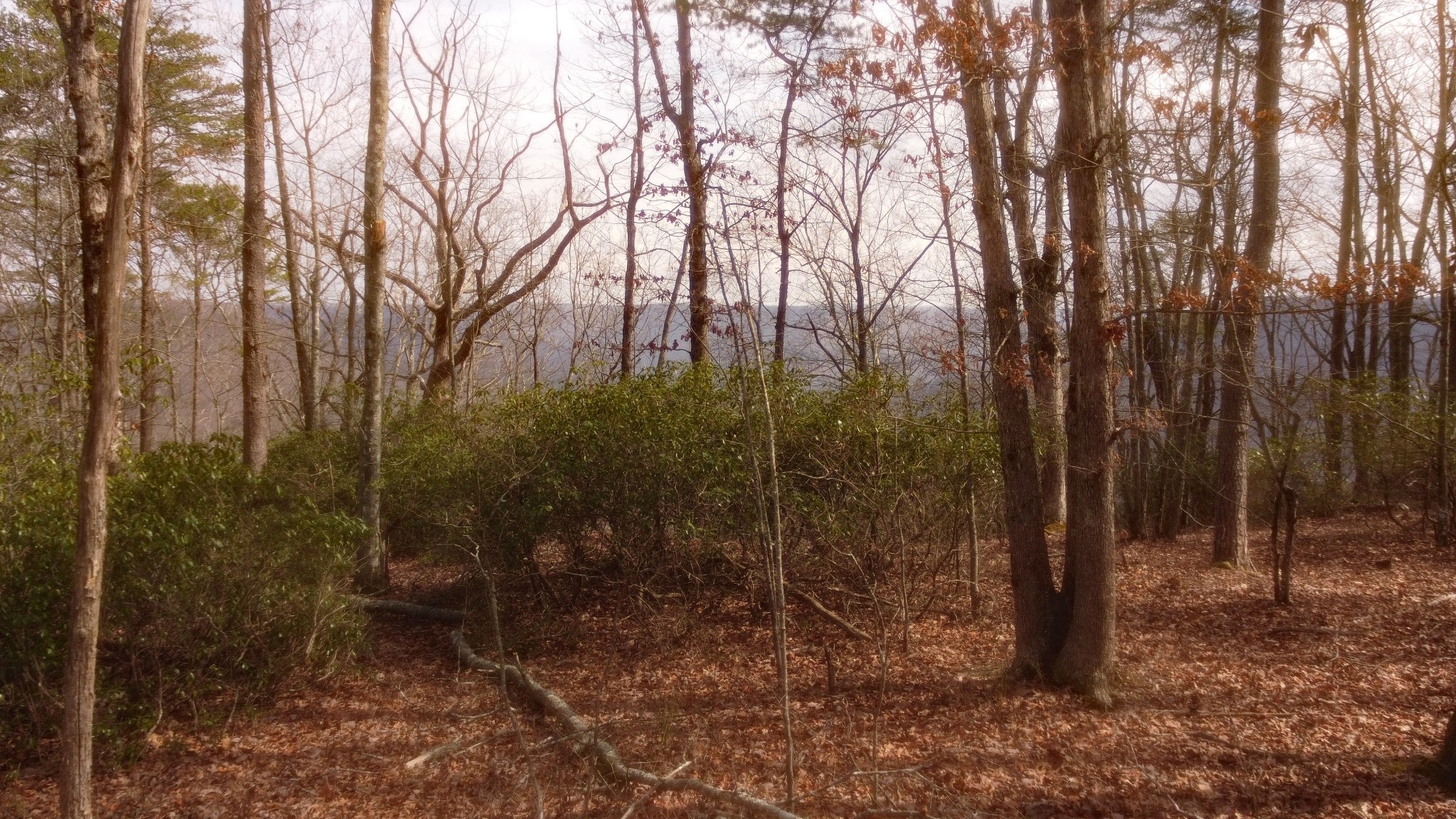 0 Ravens Den Road Sewanee TN 37375