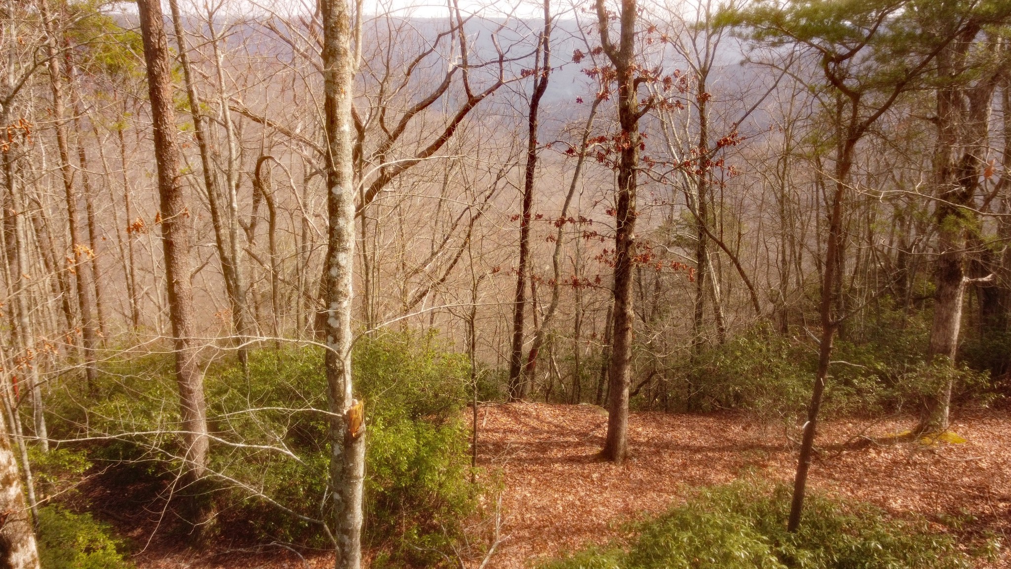 0 Ravens Den Road Sewanee TN 37375
