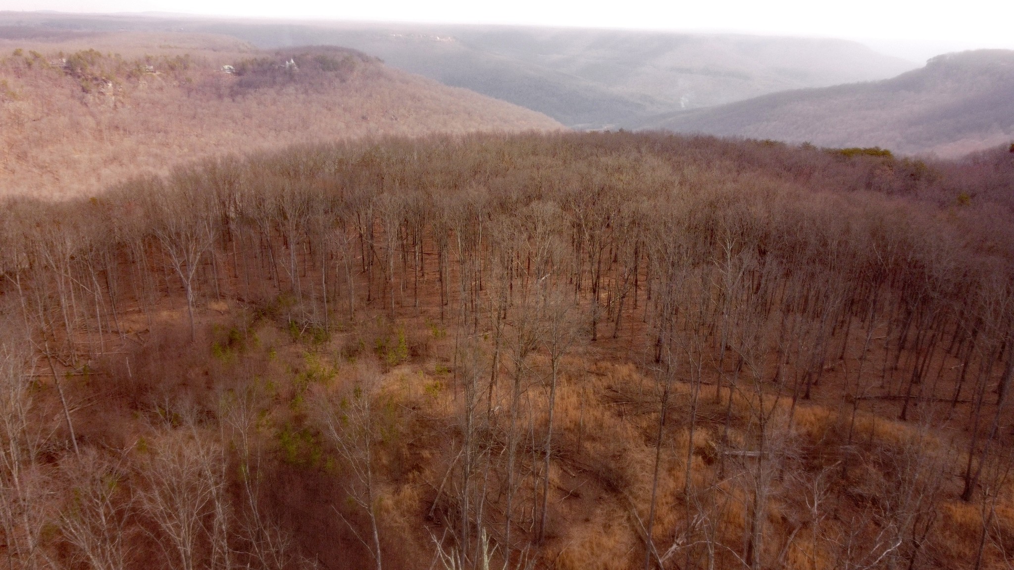 0 Ravens Den Road Sewanee TN 37375