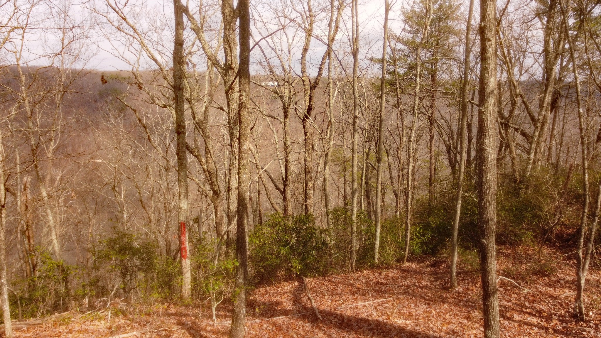 0 Ravens Den Road Sewanee TN 37375