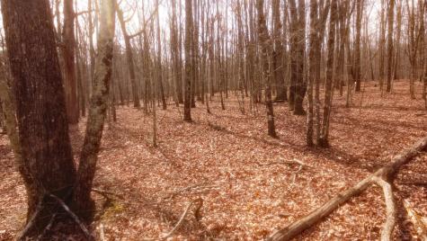 0 Ravens Den Road Sewanee TN 37375