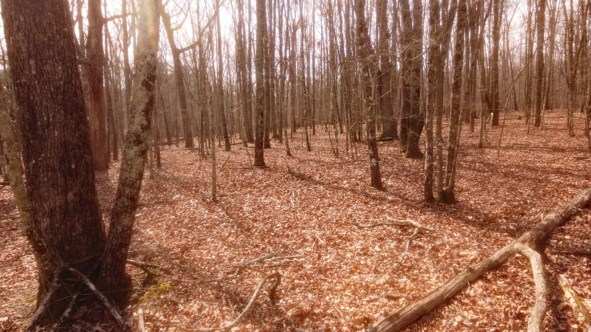 0 Ravens Den Road Sewanee TN 37375