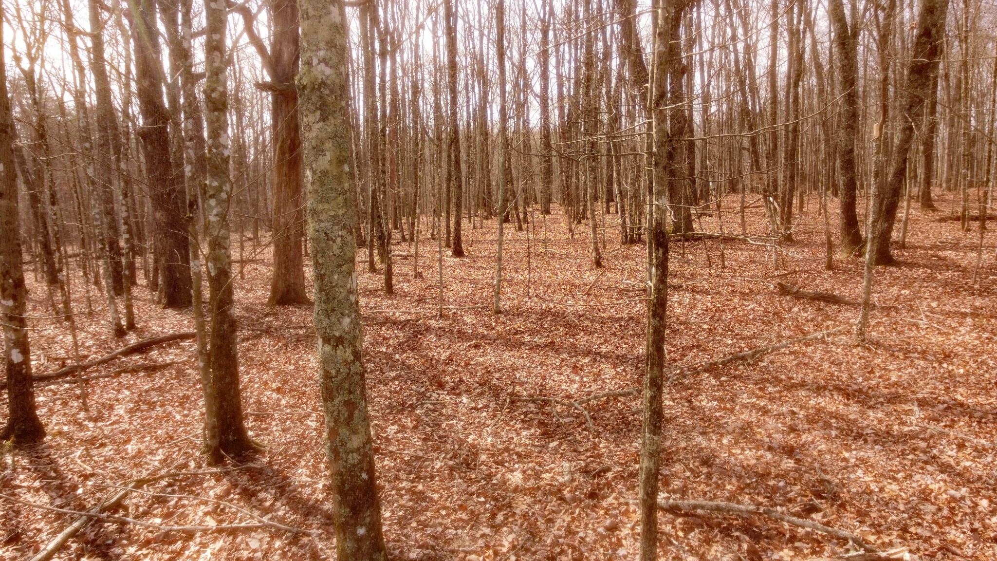0 Ravens Den Road Sewanee TN 37375