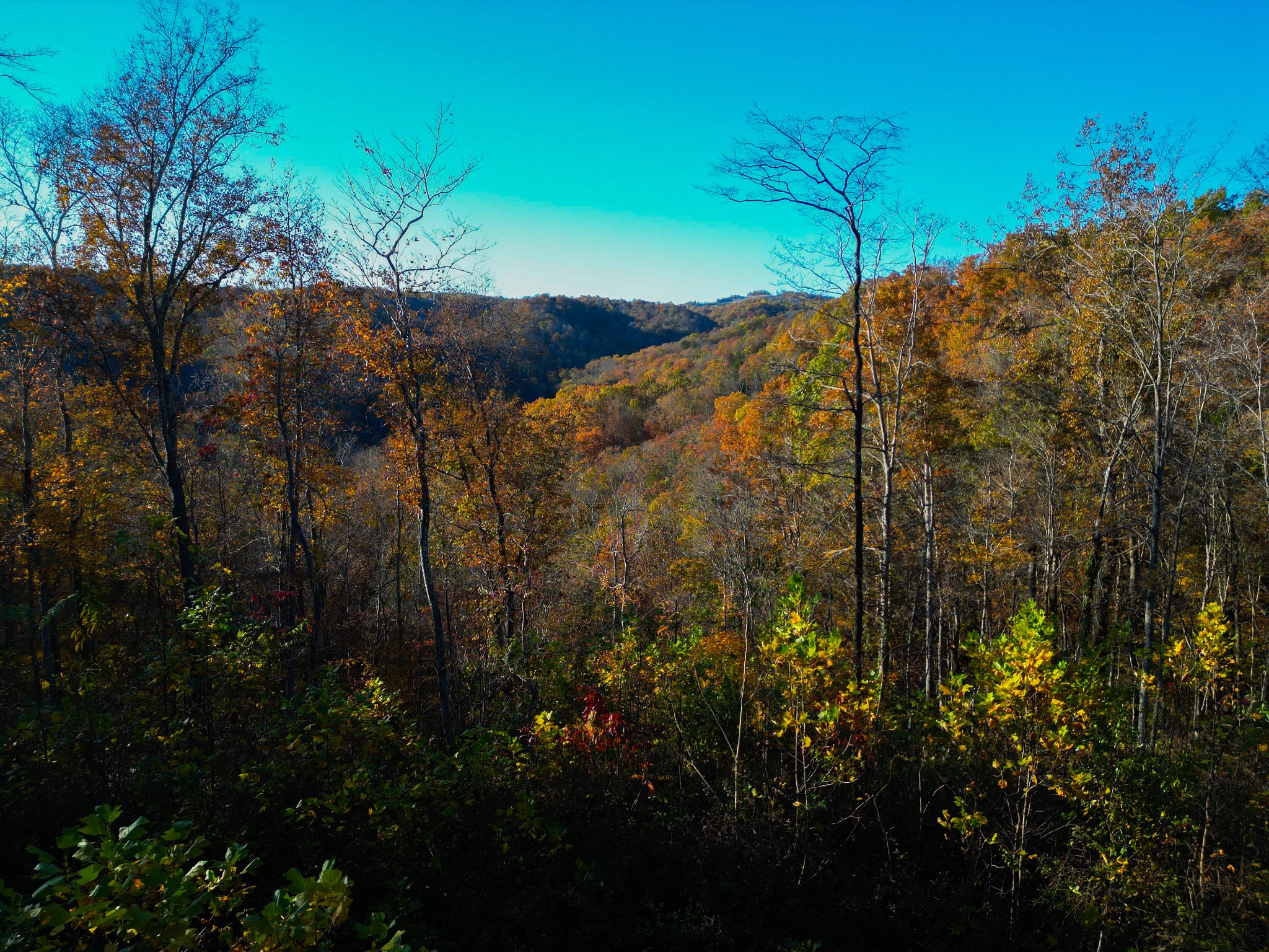 0 Rock Springs Road Celina TN 38551
