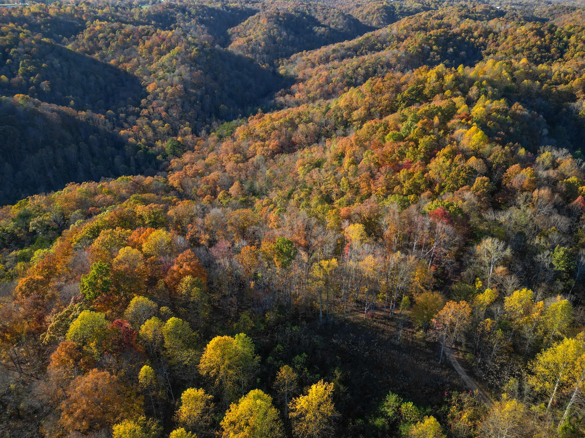 0 Rock Springs Road Celina TN 38551