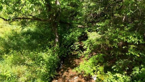 806 Brandon Hollow Lynchburg TN 37352