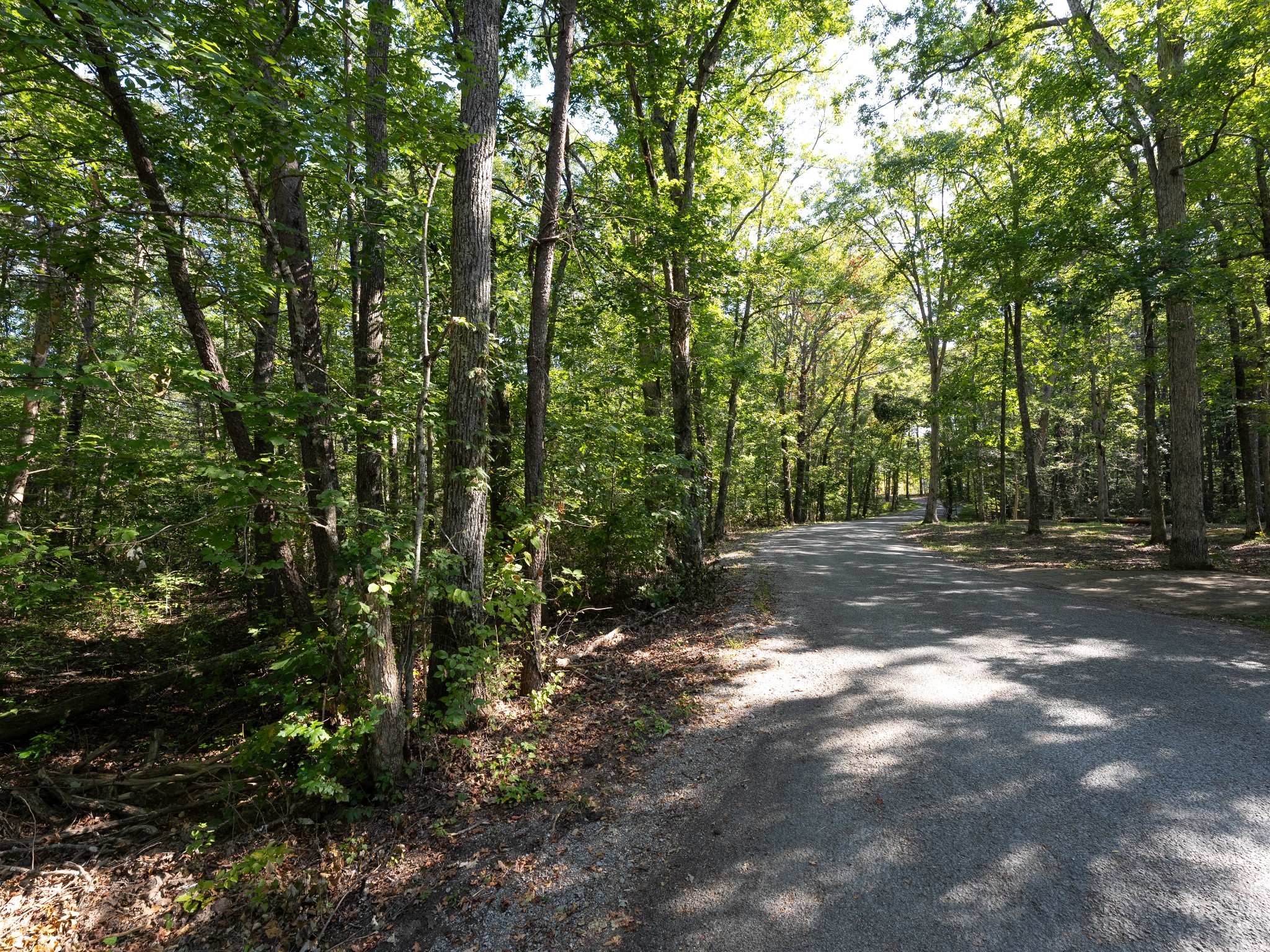 0 Pigeon Springs Road Tracy City TN 37387