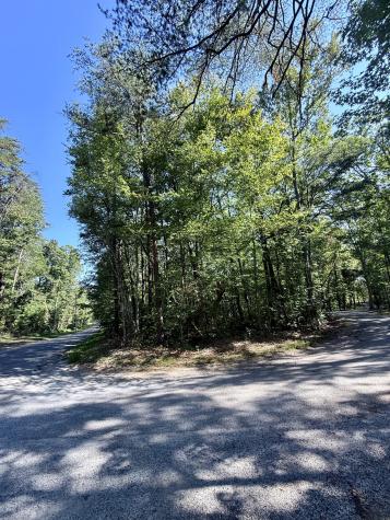 0 Pigeon Springs Road Tracy City TN 37387