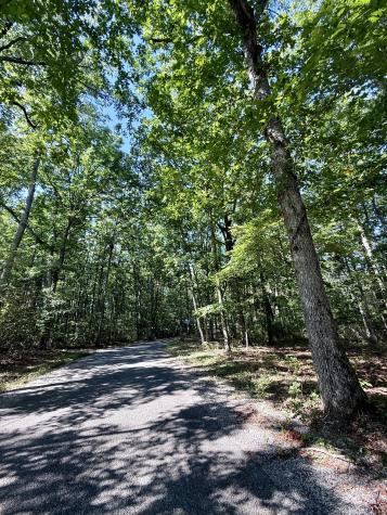 0 Pigeon Springs Road Tracy City TN 37387