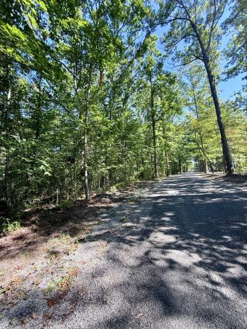 0 Pigeon Springs Road Tracy City TN 37387