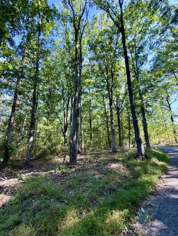 0 Pigeon Springs Road Tracy City TN 37387