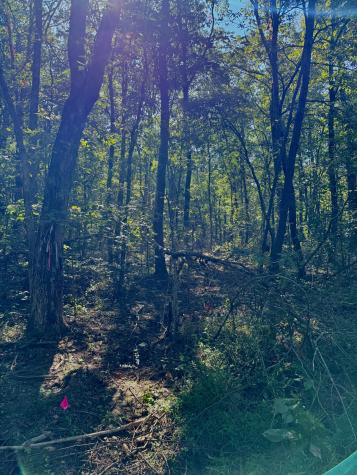 0 Pigeon Springs Road Tracy City TN 37387