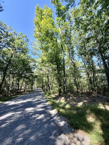 0 Pigeon Springs Road Tracy City TN 37387