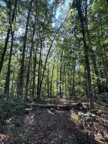 0 Pigeon Springs Road Tracy City TN 37387