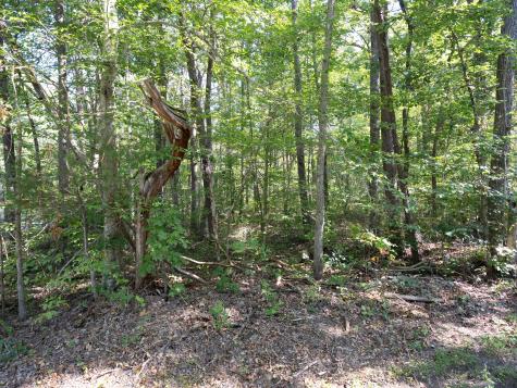 0 Pigeon Springs Road Tracy City TN 37387