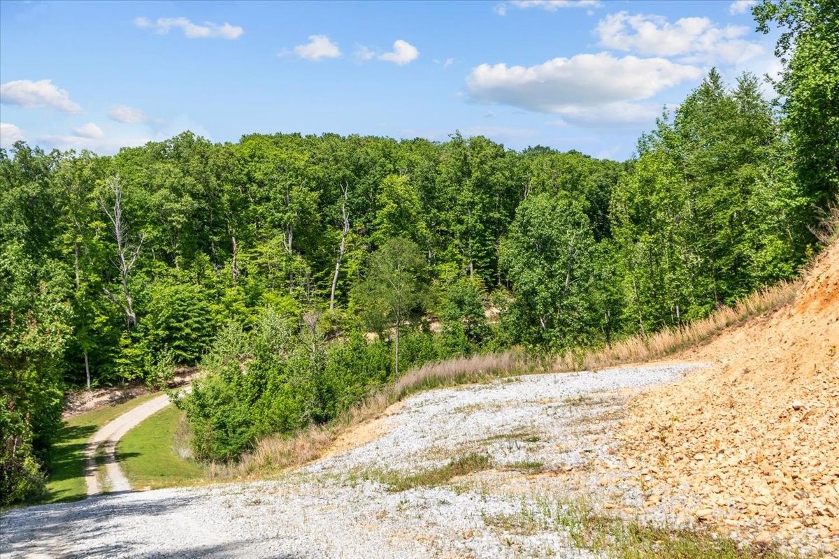 0 Blacks Bluff Stewart TN 37175